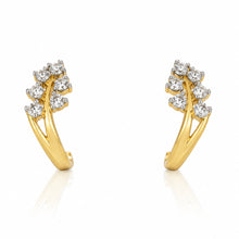 Rani Earrings