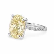 Selena  Oval Ice Ring
