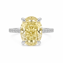 Selena  Oval Ice Ring