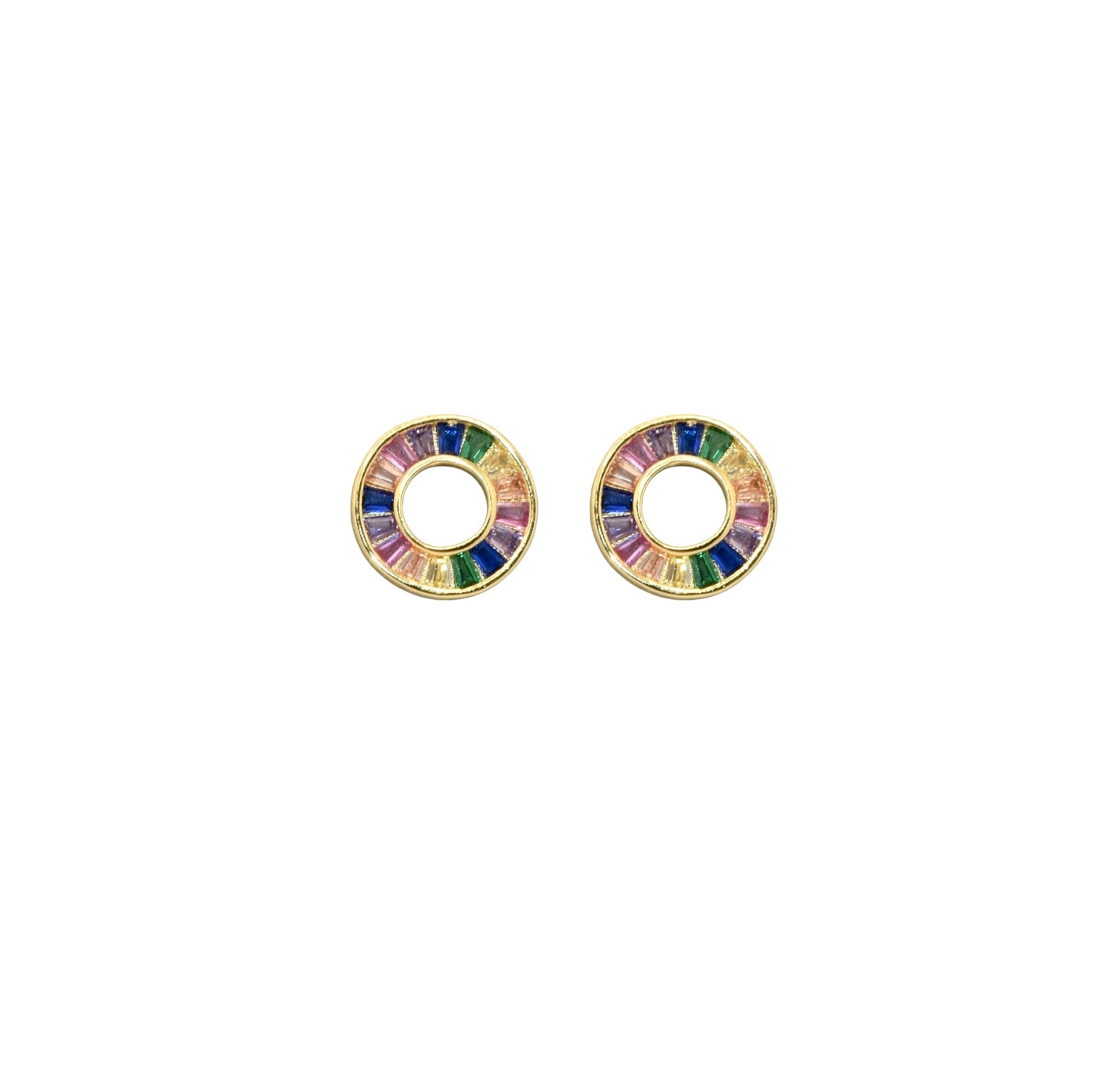 Multi Coloured Earring