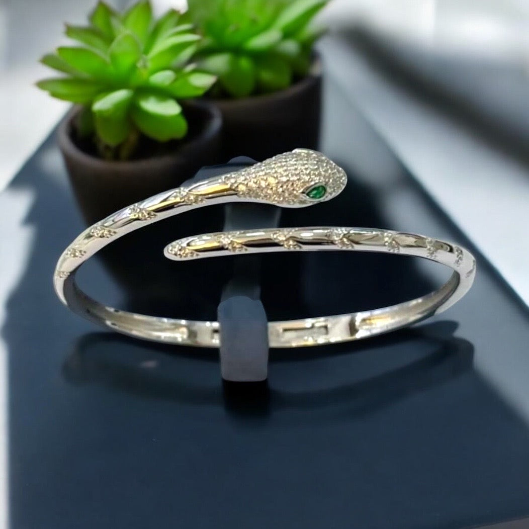Snake Bracelet